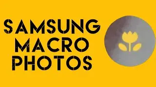 How to take super close macro photos with your phone.