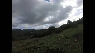 caccia  al cinghiale  in Sardegna