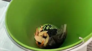 Food Scrap Recycling 101: How to Choose the Best Way to Collect Food Scraps