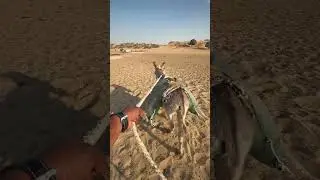 Water crisis in desert Rajsthan || old village | really hard work | #rajsthan