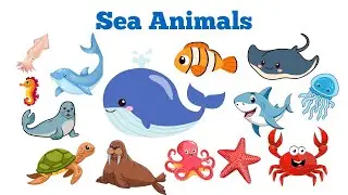 Baby Shark, Whale, Nemo, and more | Sea Animals for Kids - Learn Sea Animals Names 
