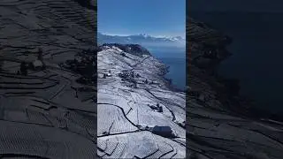 What's the most beautiful vineyard of them all? 🌞❄️ #wine #lavaux #myswitzerland #vineyards