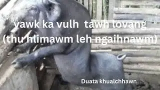 Vawk vulh thu hlimawm leh ngaihnawm#By Duata Khualchhawn