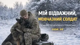 Мій відважний, мовчазний солдат | пісня про чотирилапого побратима 