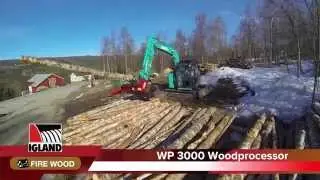 IGLAND WP 3000 Woodprocessor