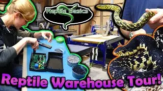 Touring the Reptile Basics Warehouse!