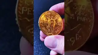 Budgeting for Junk Silver and Mexico 50 pesos Gold coin 😉