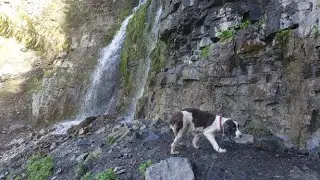 Scout Falls Timpanogos Trail Head One of the most beautiful hikes in Utah (2020)