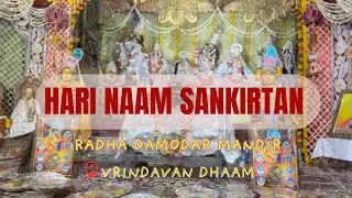 Hari naam sankirtan | Radha Damodar Mandir | Vrindavan @TaptaJivnamBhagwatYatra #bhakti #bhajan