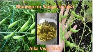 Radish Pod or Moongre or Sangri ki sabzi