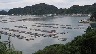 海界の村を歩く 宇和海 日振島（愛媛県）