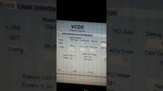VCDS hex online update problem license revoked
