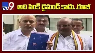 TTD EO AK Singhal counters Ramana Dikshitulu - MIssing Diamond controversy - TV9