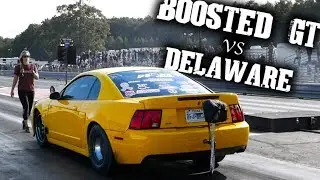 Girlfriend Gives Boosted GT the Sauce in the 302