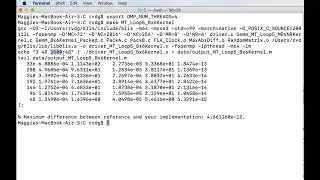 4.3.6 Parallelizing Loop 5