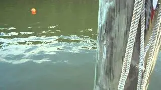 Cam 1 062514 Drag 2