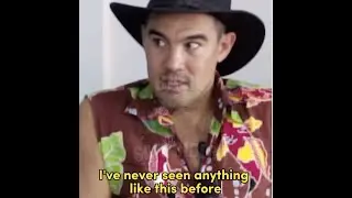 Bali's Scooter Chaos: Does the legendary Damian Hoo @Hoointheworld have the answer?