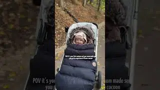 Footmuff for Pram and Stroller #stroller #newborn #babyessentials #momessentials #autumn #winterbaby
