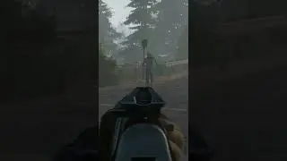In Miscreated Shooting Zombies.