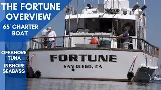 The Fortune Overview