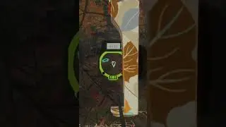 65+ Yard Shot In My Best Stand On New England!!