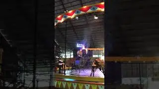Tiger zoo Jumping through fire
