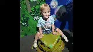 Our Summer holiday to the Sunny Coast (yes i need to take more pictures!)