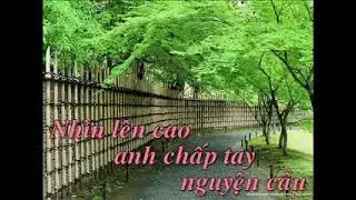 loi nguyen