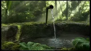 Peaceful Forest Water Flow | Relaxing Nature Sounds