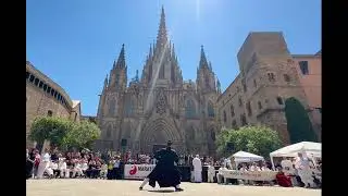 Wudang Danjian - Marat&oacute;n Tai Chi Barcelona