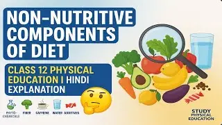 Non-Nutritive Components of Diet &ndash; Full Explanation in Hinglish | 12 Physical Education | Study PE