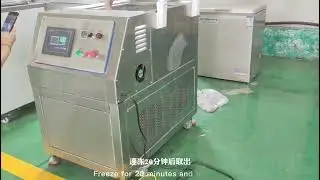 Experiment of quick-frozen pork, beef and fish in liquid immersion hibernant freezer