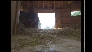 Colonial Farming: George Washington the Clever Farmer
