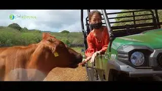 Hawaii Video Production - Cool For Kūpuna Trailer - Oahu Films