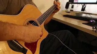 The Wicked Flee (guitar)