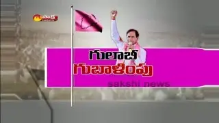 TRS Celebration Over GHMC Election Results
