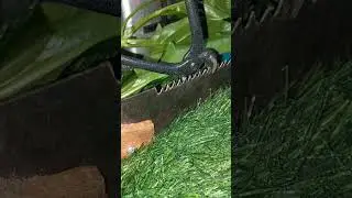 How to Sharpen a Saw Like a Pro: Expert Techniques
