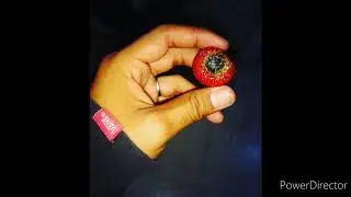BM6IX// El vicio del Hip hop 🖤