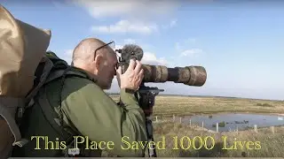 Wildlife Photography | Sunset At Farlington Marshes