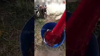Traditional Cast Net Prawn Catching #fishing #fishingvideo #fishingtime