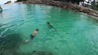 Snorkeling and finding sharks teeth in Casey Key, FL