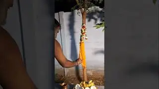 8 January 2026 | வாழ்வில் ஏற்றத்தை தரும் சோலை வழி மாரியம்மன் | லகுவாராஹி ஆலயம் | 94 கரியமாணிக்கம் |