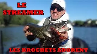 COMMENT PÊCHER LE BROCHET AU STREAMER AVEC UNE CANNE SPINNING