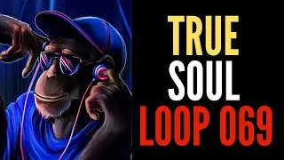 🅵🆁🅴🅴 LOOP #069 - SAMPLE PACK FREE DOWNLOAD, FREE LOOP KITS, FREE MELODY LOOPS