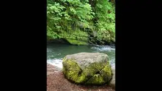 5.19.19 - LCB visits a Fish Ladder