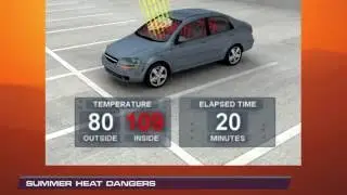 How to Beat the Dangerous Sweltering Summer Heat