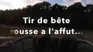 Affut Sanglier