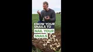 🐌 Know your snails nail them 🐌