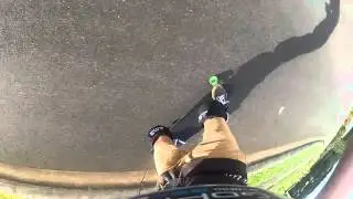 Landyachtz Wolfshark Riding Mini Edit