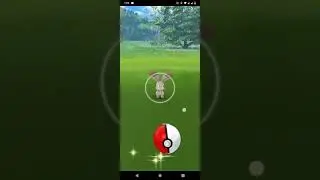 catching bunnelby cp188 🙂😥